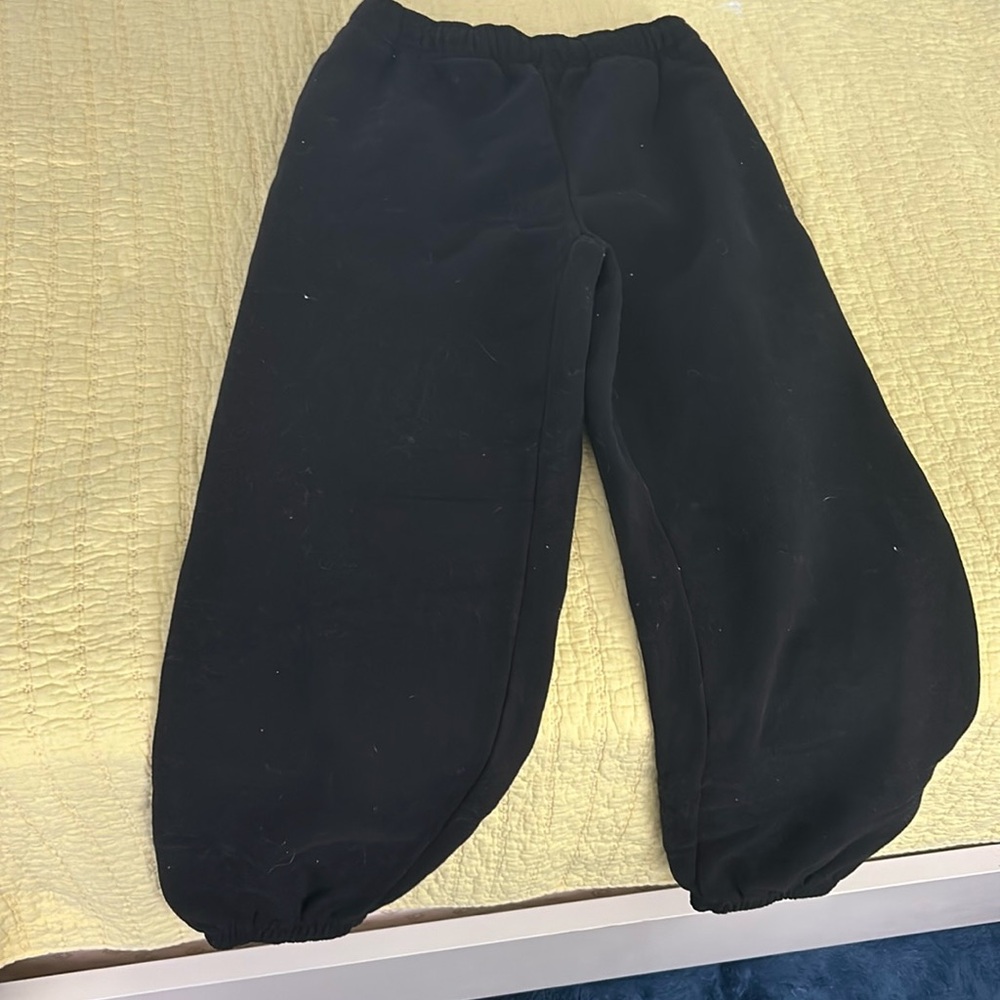 Aritzia sweats